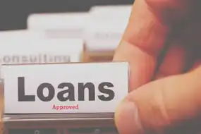 Loans 