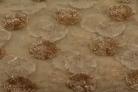 SEQUENCE BUTTA GOLD NET FABRIC-1-1