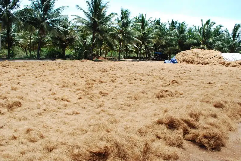 Coir Fibre Pith