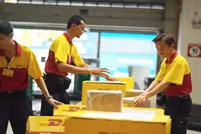 dhl service