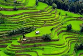 MUNNAR