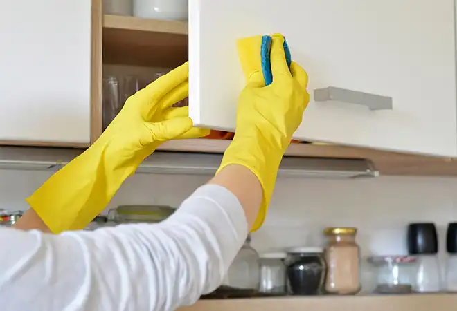 Kitchen Cleaning