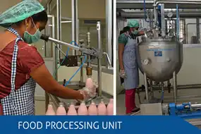 Food Processing Unit