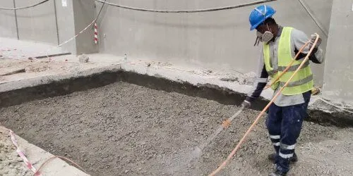 Termite Cleaning Service