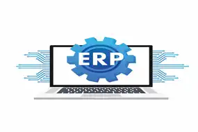 Enterprise Resource Planning Development