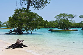 Port Blair - Ross & North Bay