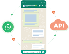 WhatsApp Business API