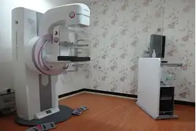 Digital Mammogram