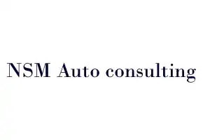 NSM Auto consulting
