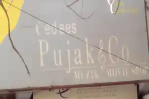 CEDEES PUJAK & CO R.S. Puram