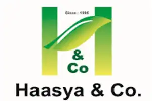 Haasya & Co (Business broker)