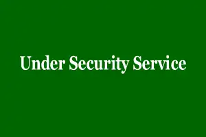 Under Security Service