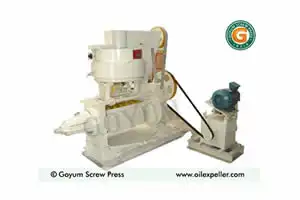 Oil Expeller â€“ Goyum 10
