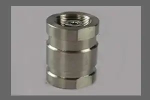 Stainless Steel non return valve