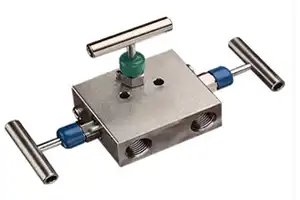 Manifold Valve