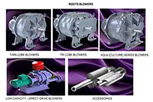 ROOTS BLOWERS