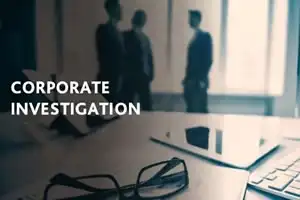Corporate Detective