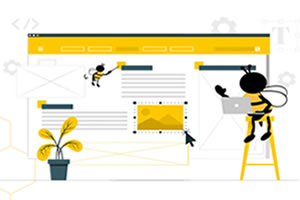Web Development & Design