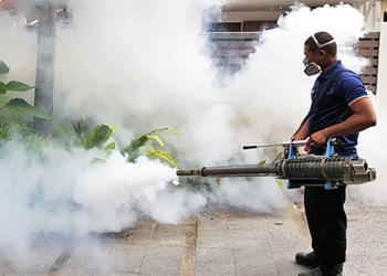 INTEGRATED FLY MANAGEMENT SERVICE (IFM)