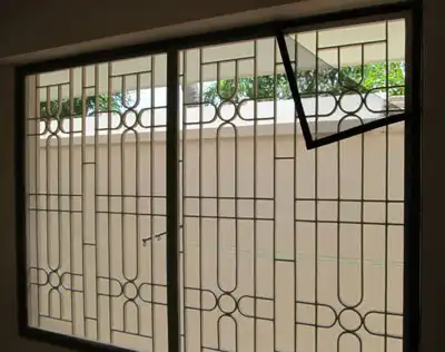 Removable Insect Screen