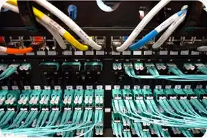 Cisco DNA enrollment offers of the year